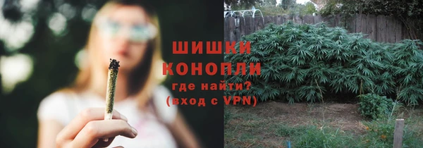 a pvp Абаза