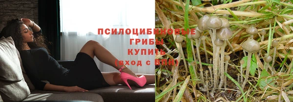 каннабис Алзамай