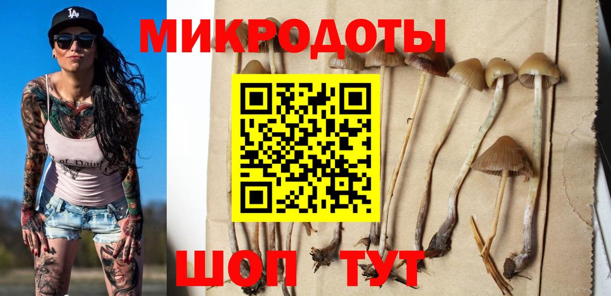 Псилоцибиновые грибы мухоморы Батайск